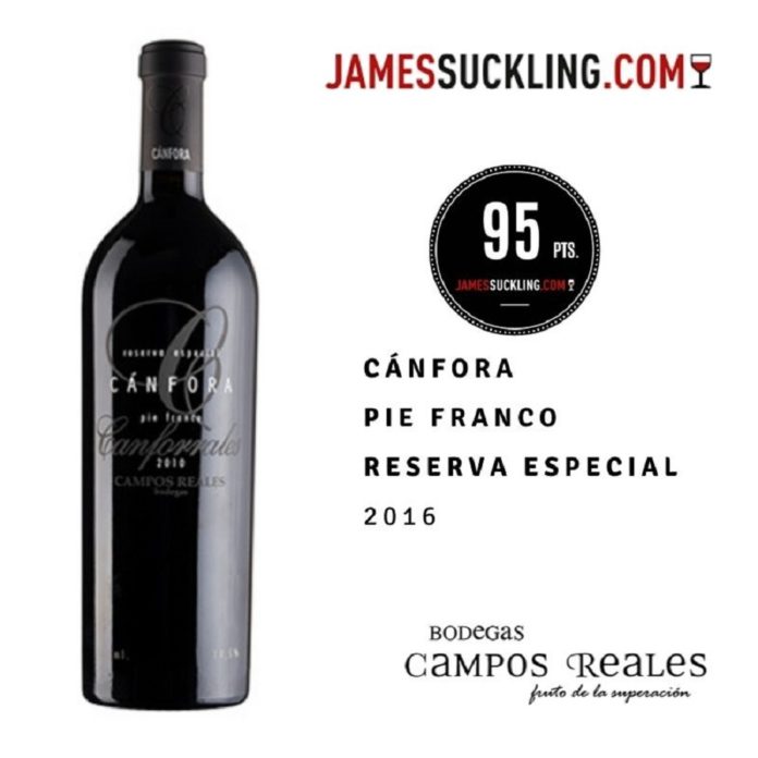James Suckling califica con 95 puntos al vino Cánfora Pie Franco Reserva Especial
