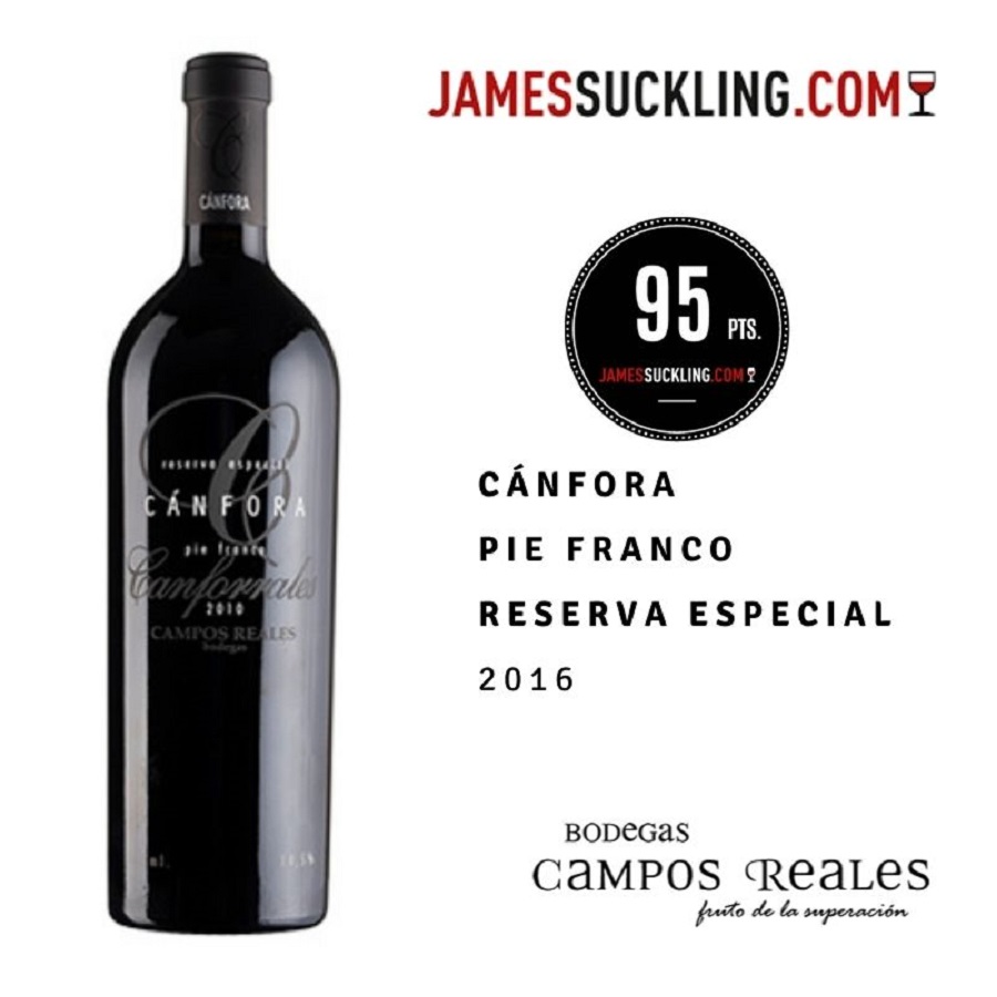 James Suckling califica con 95 puntos al vino Cánfora Pie Franco Reserva Especial
