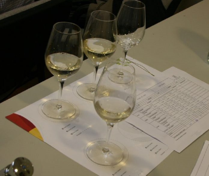 Cata final Airén por el Mundo 2020