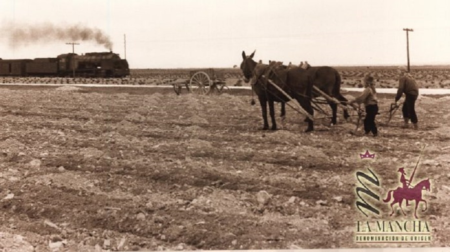 Día de San Isidro: Los agricultores de La Mancha trabajando a mediados del siglo XX