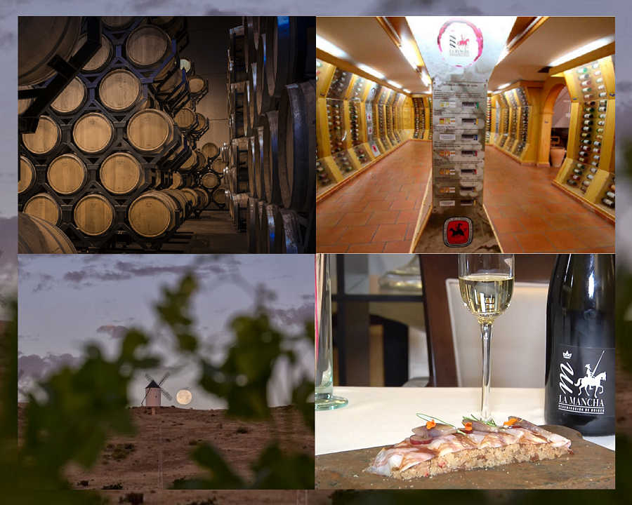 Experiencias unicas para conocer la cultura del vino en La Mancha