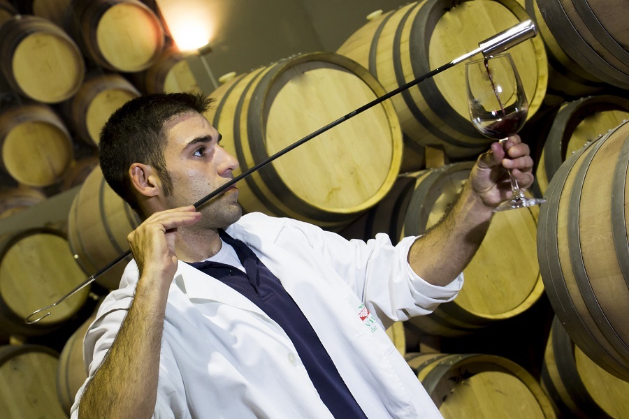 Los vinos DO La Mancha son controlados en todo momento para obtener la mayor calidad en una de las bodegas de La Mancha
