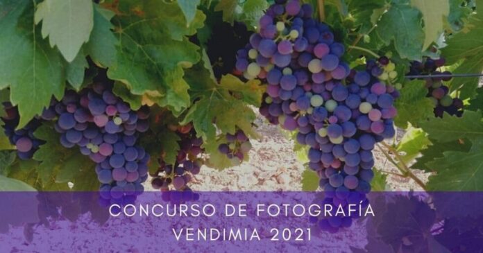 Concurso de Fotografía 'Vendimia Campos Reales' 2021