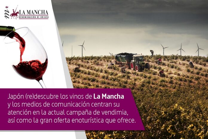 Destacado Bodegas de La Mancha (del 15 al 21 de septiembre ) Destacado Bodegas de La Mancha (del 15 al 21 de septiembre )