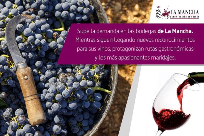 Imagen destacada Bodegas de La Mancha (8 al 14 de septiembre)