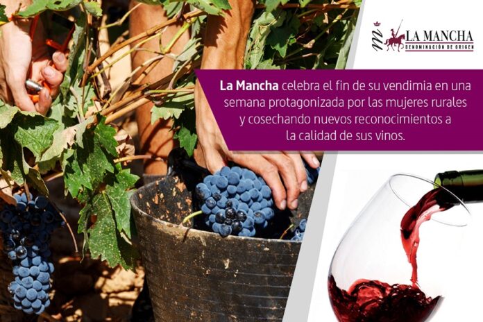 Imagen Destacada Bodegas de La Mancha (del 13 al 19 de octubre)