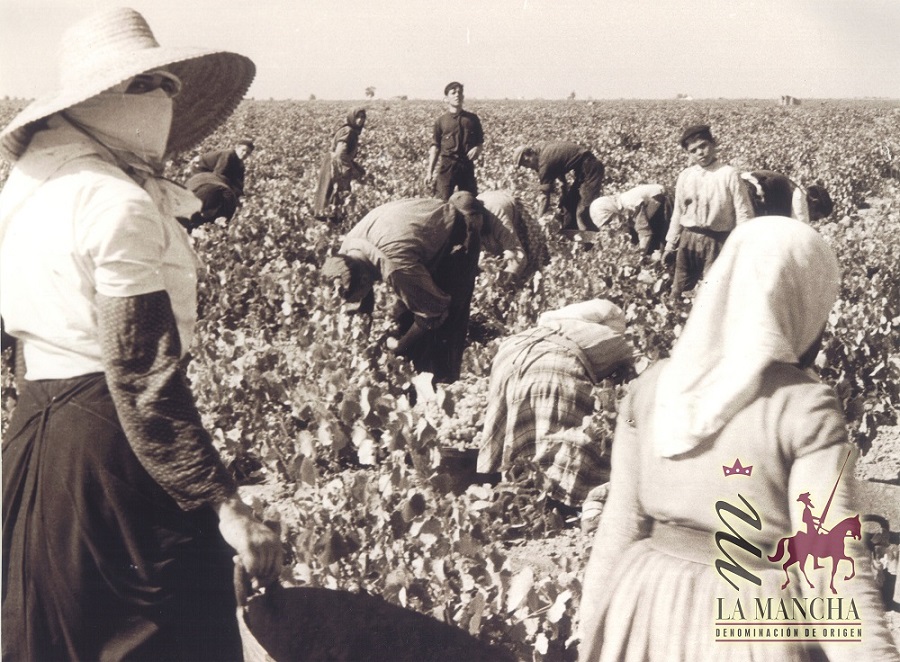 Mujeres en viñedos de La Mancha- Antonio Reales Parra