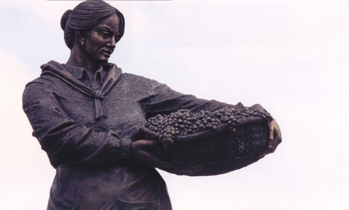 Vendimiadora en Miguel Esteban (Toledo) Vendimiadora en Miguel Esteban (Toledo)