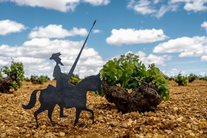 Viñedo de La Mancha y El Quijote Los vinos de La Mancha, los favoritos de Cervantes Ruta del Vino de La Mancha