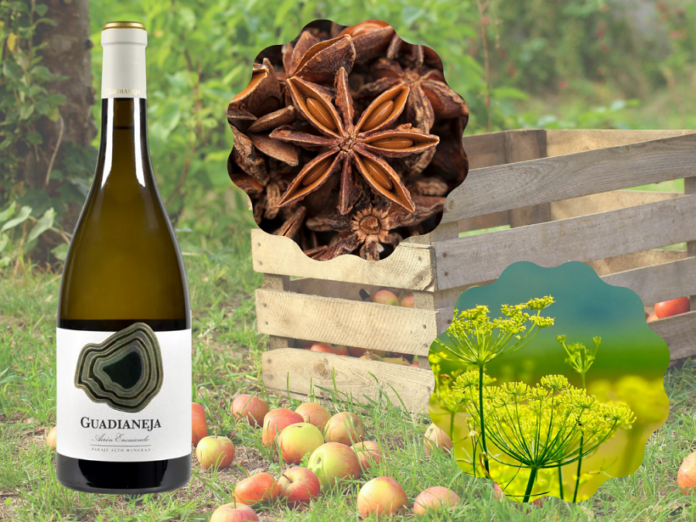 Nuevo Guadianeja Airén, un vino de Vinícola de Castilla (DO La Mancha) Nuevo Guadianeja Airén, un vino de Vinícola de Castilla (DO La Mancha)