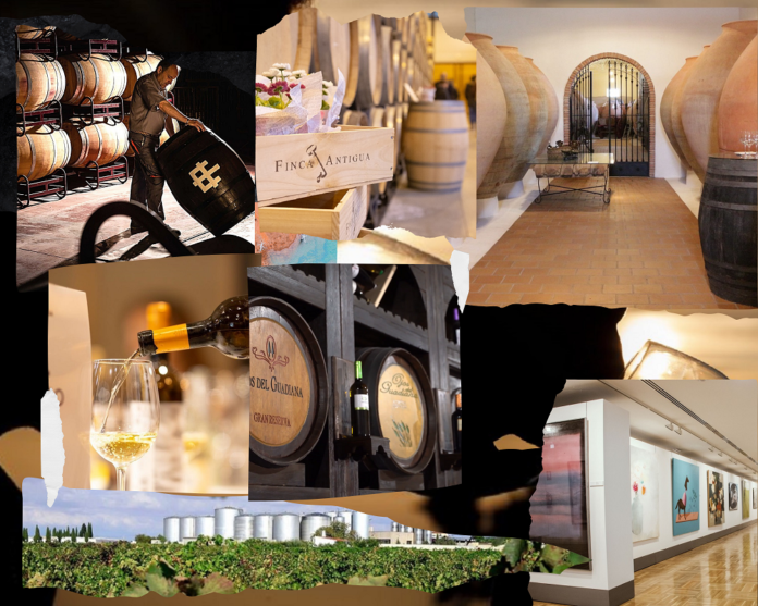 7 bodegas para hacer enoturismo en La Mancha