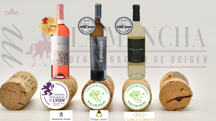 Vinos DO La Mancha premiados en el Concours International de Lyon y Concours Mondial du Sauvignon