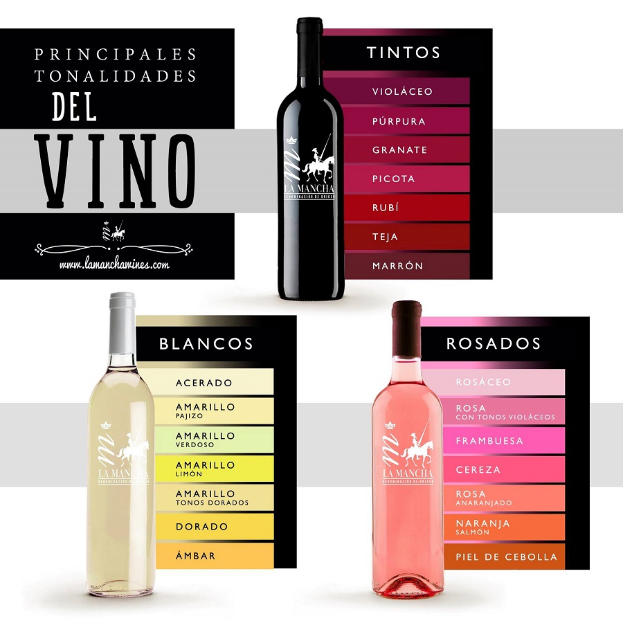 Infografía Los colores del vino