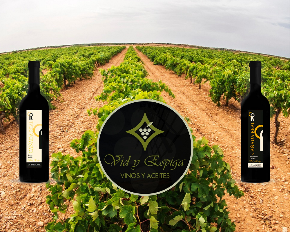 Cañada Real, una gama de vinos online de la Cooperativa La Vid y la Espiga