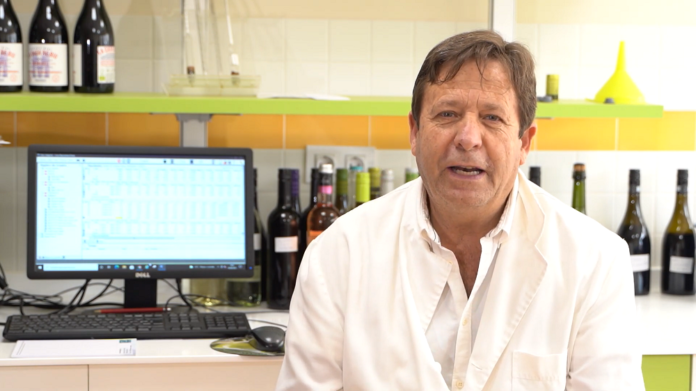 Jorge Pradillo, enólogo de Bodegas Latúe Jorge Pradillo, enólogo de Bodegas Latúe