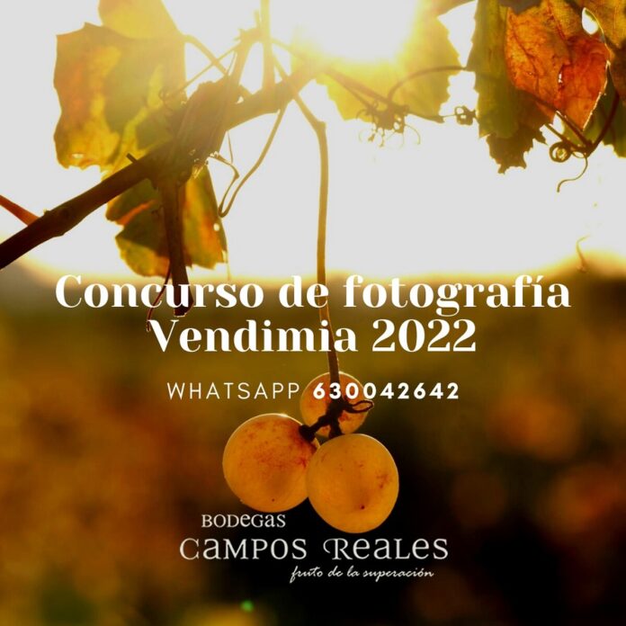 Cartel Concurso de Vendimia Bodegas Campos Reales 2022