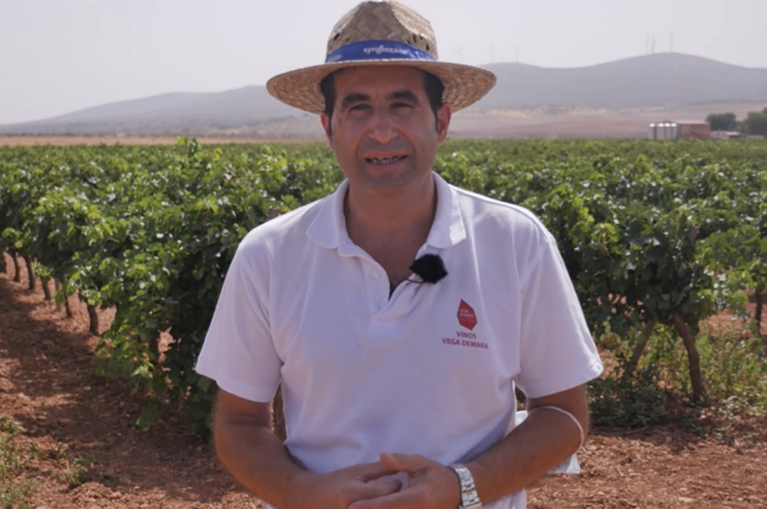 Joaquín Mateos, gerente y enólogo de Bodegas Vega Demara (La Solana, Ciudad Real) Joaquín Mateos, gerente y enólogo de Bodegas Vega Demara (La Solana, Ciudad Real)