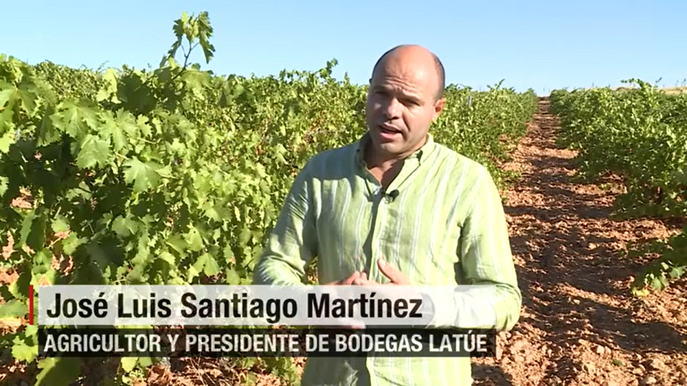 José Luis Santiago, presidente de Bodegas Latúe, en su entrevista con CNN