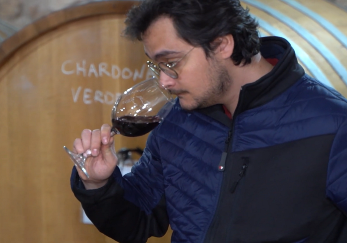 Pablo Javier Parra Jiménez, enólogo de Bodegas Parra Jiménez-IRJIMPA Pablo Javier Parra Jiménez, enólogo de Bodegas Parra Jiménez-IRJIMPA