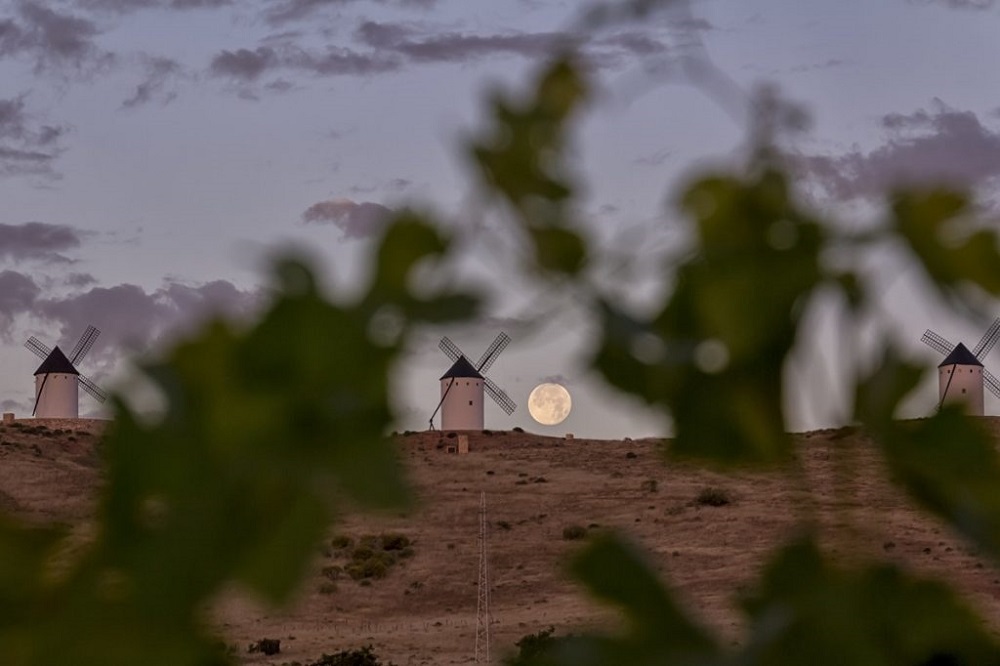 Luna llena en los viñedos y molinos de La Mancha