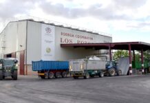 Bodegas Los Pozos, esmero e innovación Cooperativa Los Pozos, Daimiel