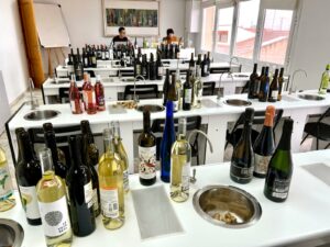 Más de 100 de vinos DO La Mancha se cataron