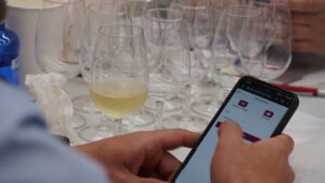 En la edición anterior, los vinos '1000 No se equivocan' se cataron digitalmente