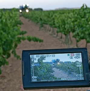 El inicio de la vendimia 2024 tuvo una buena cobertura mediática