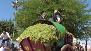 Tradicional carro de vendimia para el Concurso de pisada de uvas