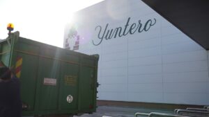 Remolques de la variedad chardonnay en bodegas Yuntero