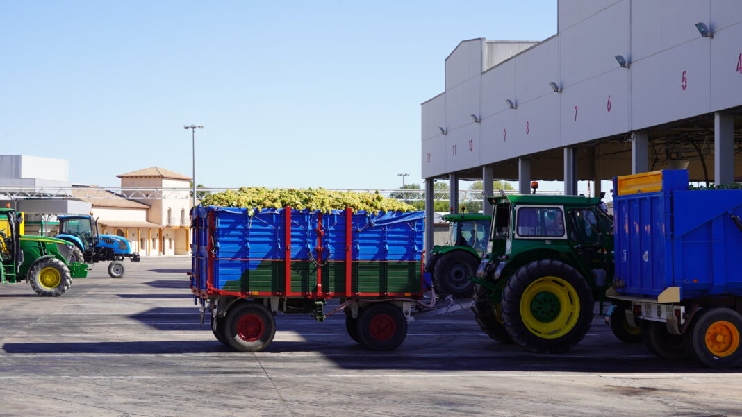 Descargaderos de Airén en Virgen de las Viñas Descargaderos de Airén en Virgen de las Viñas