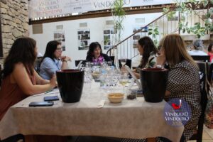 Jurado femenino de los Premios VinDuero 2025