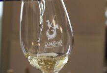 La nueva añada 2025 de las bodegas manchegas triunfa en Madrid. Los blancos DO La Mancha sorprenden en su presentación