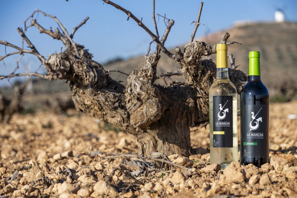 Blancos y tintos jóvenes bien valorados