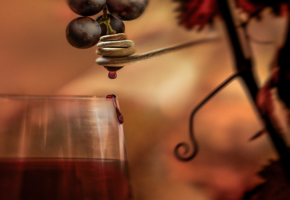 La-esencia-de-la-uva-de-Jose-R.-Luna-de-La-Ossa.-Imagen-premiada-en-2025