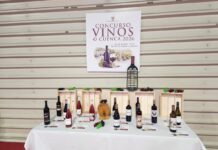 Casi pleno de medallas para DO La Mancha en los Premios Vinos de Cuenca 2026 Los 15 mejores vinos de la provincia de Cuenca