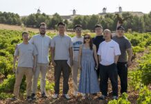 Misión inversa de profesionales chinos descubre el potencial de los vinos de La Mancha Misión inversa. Profesionales-chinos en un viñedo mancheg