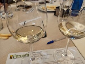 Se han catado cerca de 200 vinos