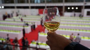 Un blanco frente a la Galería del vino en Fanvin Match