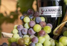 Con el envero las bodegas de La Mancha ultiman los preparativos para la vendimia 2026 El envero marca el periodo clave de maduración de la uva